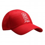 TPC锯齿草球场 纪念款球帽 P3131MP011-553